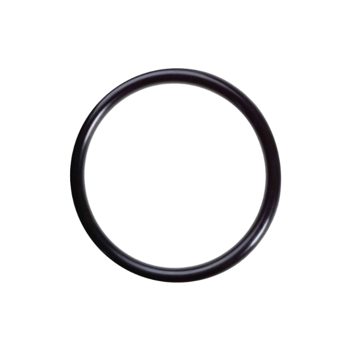 O-Ring 2956817-01 in the group  at GPLSHOP (2956817-01)