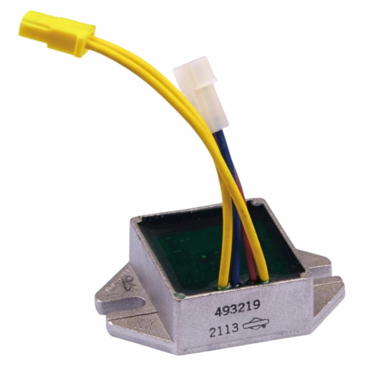 Regulator in the group at GPLSHOP (493219)