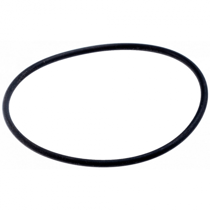 O-Ring 5024089-01 in the group at GPLSHOP (5024089-01)
