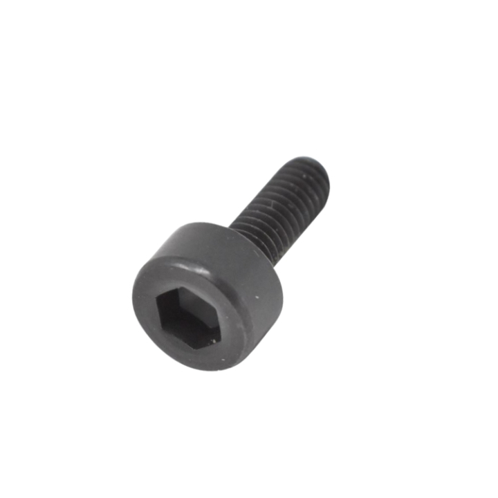Screw, Mc6Shs M4X12 in the group  at GPLSHOP (5032026-02)