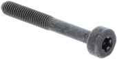 Screw Itxscm in the group  at GPLSHOP (5032153-65)