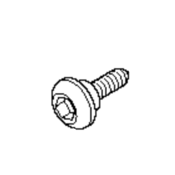 Lock Screw 5039613-02 in the group  at GPLSHOP (5039613-02)