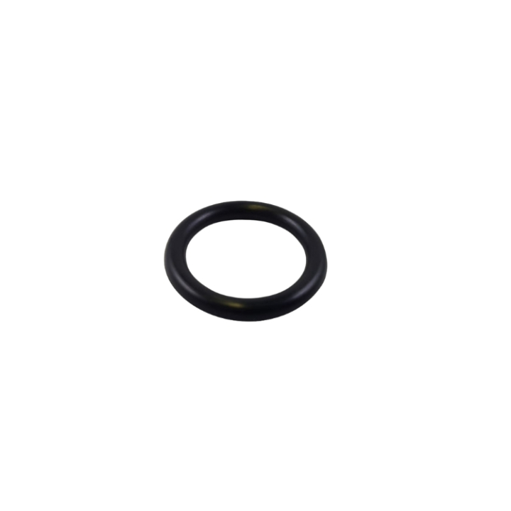 O-Ring in the group at GPLSHOP (5039885-01)