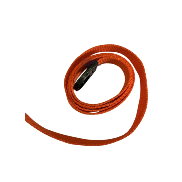 Strap 5039961-09 in the group Spare Parts / Spare parts Brushcutters / Spare parts Husqvarna 545F at GPLSHOP (5039961-09)