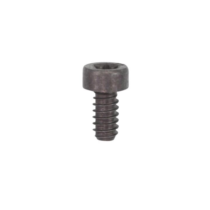 Screw Itxsct in the group  at GPLSHOP (5049094-10)