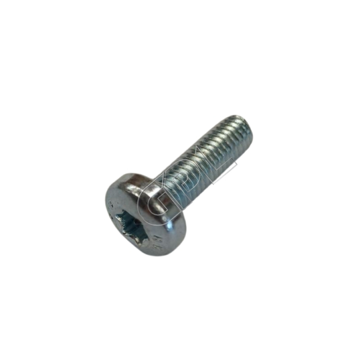 Screw in the group Spare Parts / Spare Parts Rider / Spare parts Husqvarna Rider 420 TSX AWD at GPLSHOP (5055577-04)
