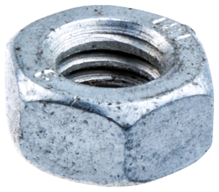 Nut in the group at GPLSHOP (5148683-00)