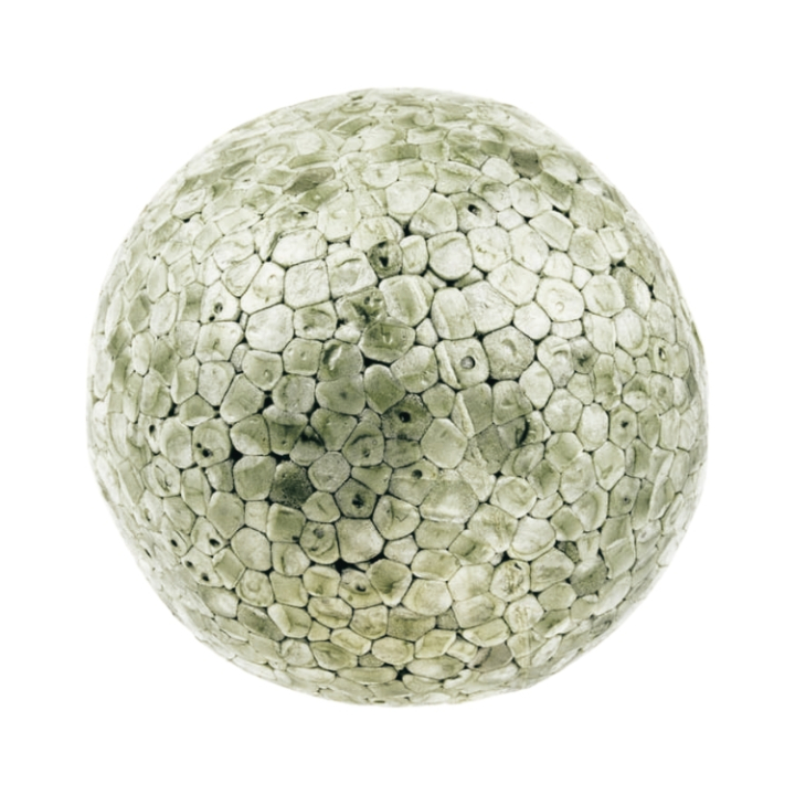 Ball 5149957-00 in the group  at GPLSHOP (5149957-00)