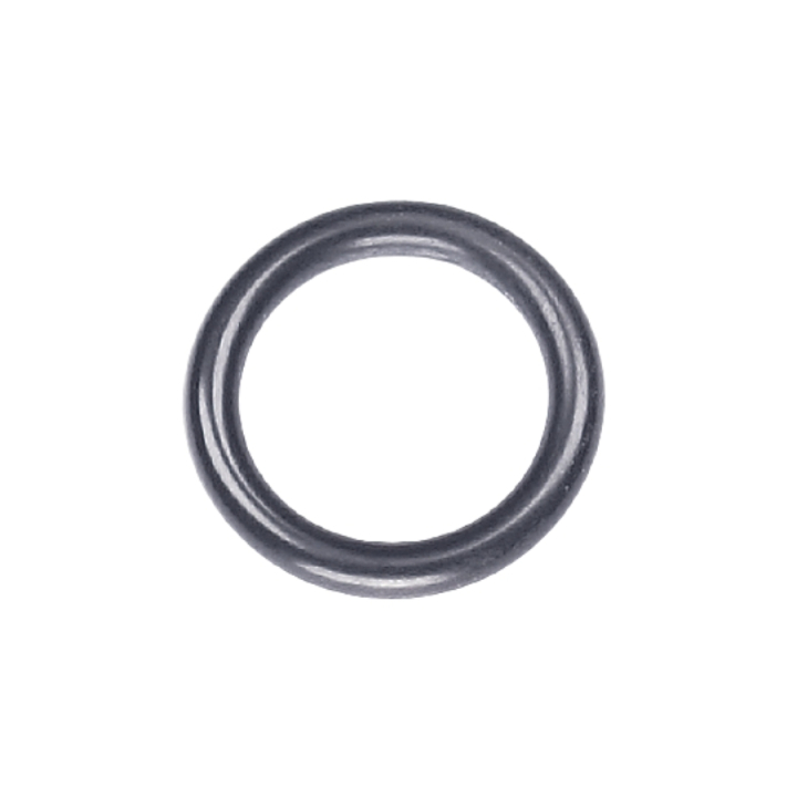 O-ring in the group  at GPLSHOP (5203205-01)
