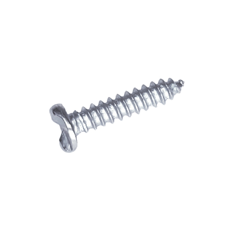 Screw one way B4,2X19 in the group at GPLSHOP (5203400-01)