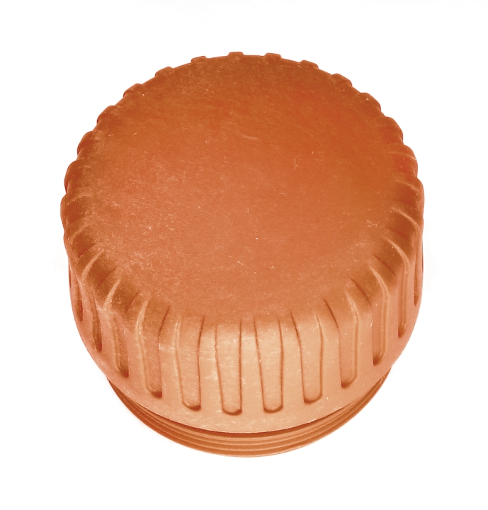 Filler cap in the group  at GPLSHOP (5203681-01)