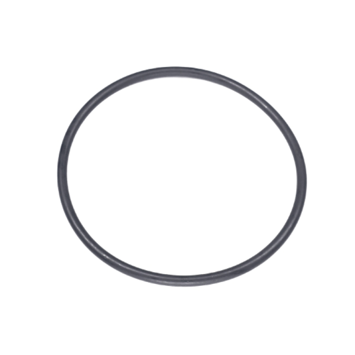 O-ring in the group  at GPLSHOP (5203836-01)