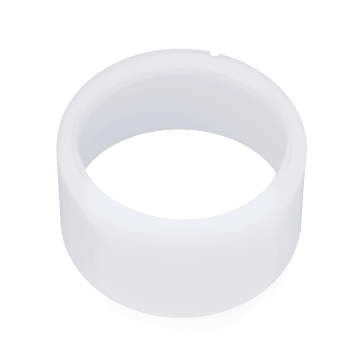 Eccentric ring in the group at GPLSHOP (5203922-01)