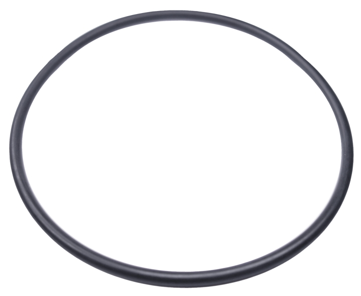 O-ring in the group at GPLSHOP (5204056-01)