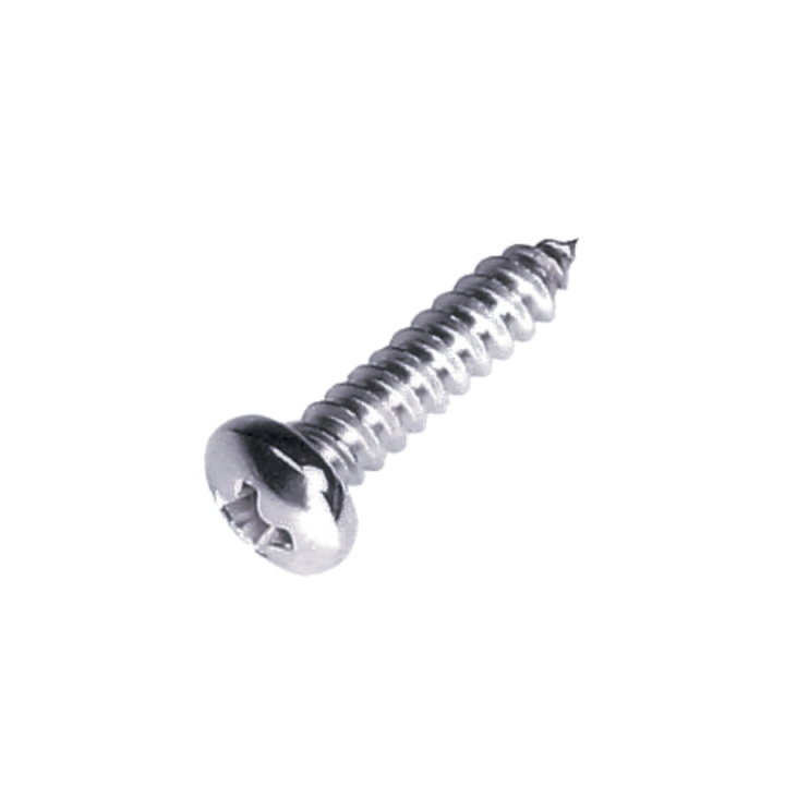 Sheet screw 4.2X19 in the group  at GPLSHOP (5204322-01)