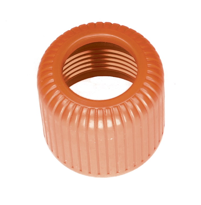 Nut in the group at GPLSHOP (5204571-01)