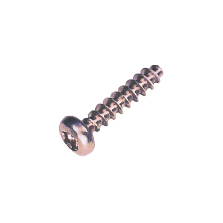 Pt screw 40X18 T20 in the group at GPLSHOP (5205223-01)