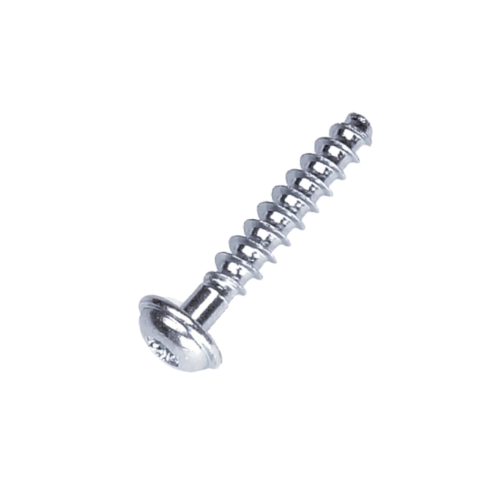 Screw T50X28 in the group  at GPLSHOP (5205247-01)