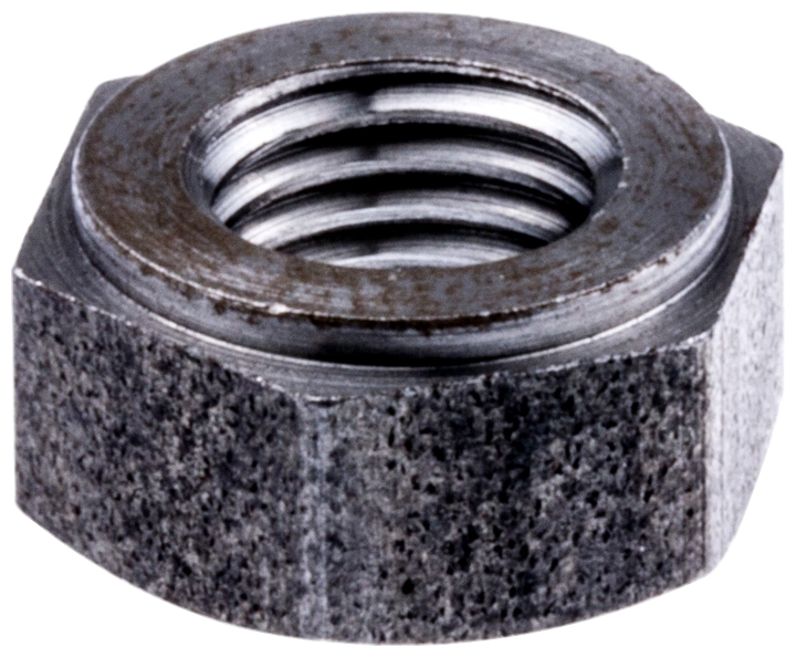 Nut in the group at GPLSHOP (5231224-02)