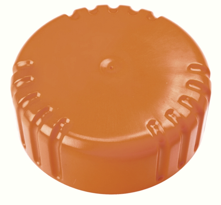Nut in the group at GPLSHOP (5240301-01)
