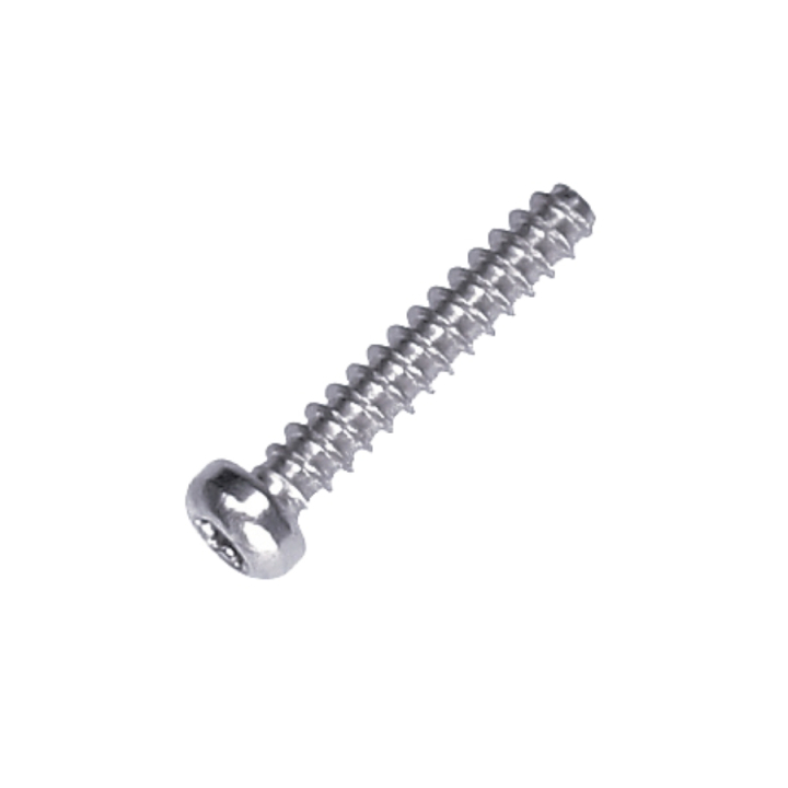 Screw 5244312-01 in the group  at GPLSHOP (5244312-01)
