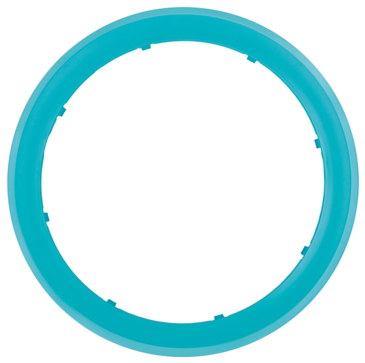Ring outside turquoise in the group at GPLSHOP (5298883-01)