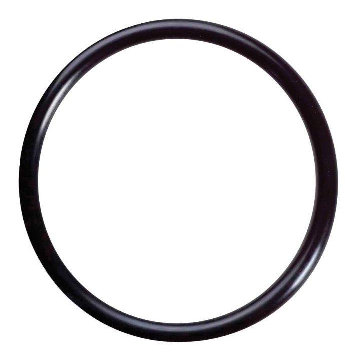 O-Ring 5310078-47 in the group  at GPLSHOP (5310078-47)