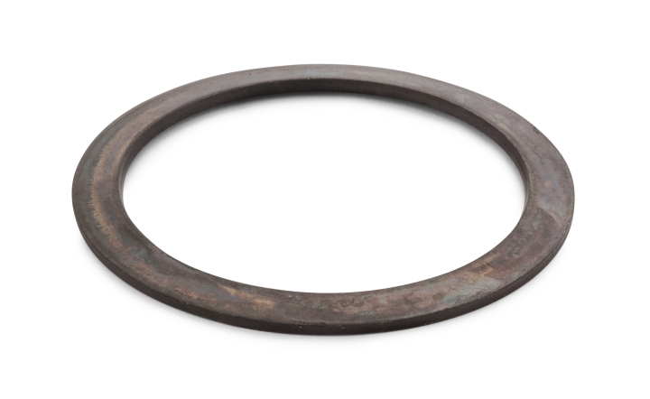 Plate springs in the group at GPLSHOP (5311230-25)