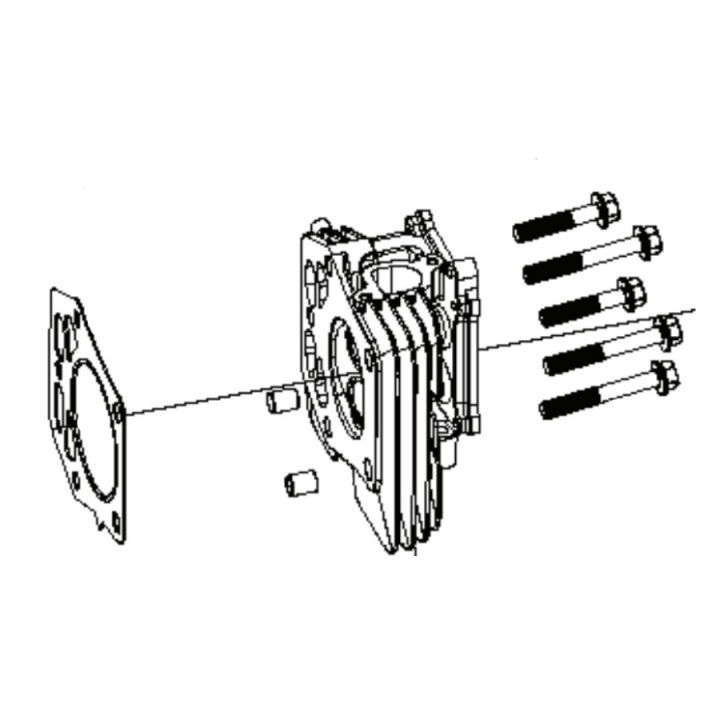 Cylinder Head Kit in the group Spare Parts / Spare Parts Rider / Spare parts Husqvarna Rider 214TC at GPLSHOP (5311469-91)