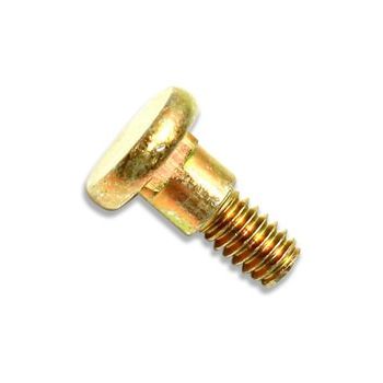 Screw 5321856-00 in the group at GPLSHOP (5321856-00)