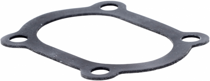 Gasket in the group at GPLSHOP (5351392-04)