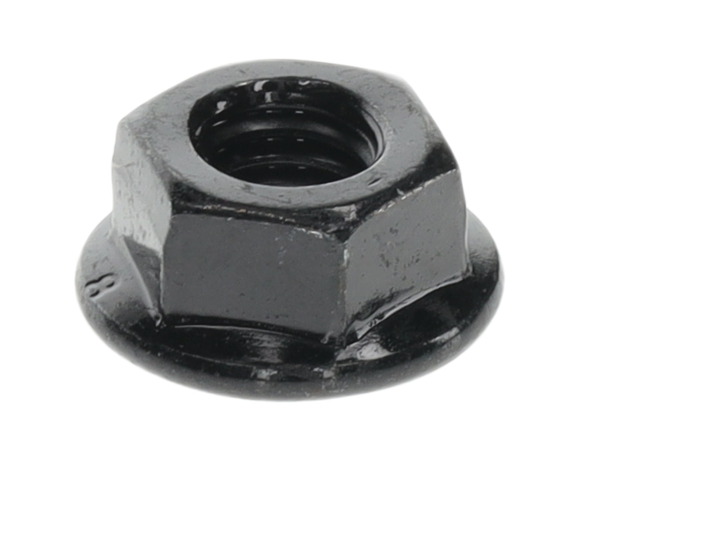 Nut in the group at GPLSHOP (5355759-01)