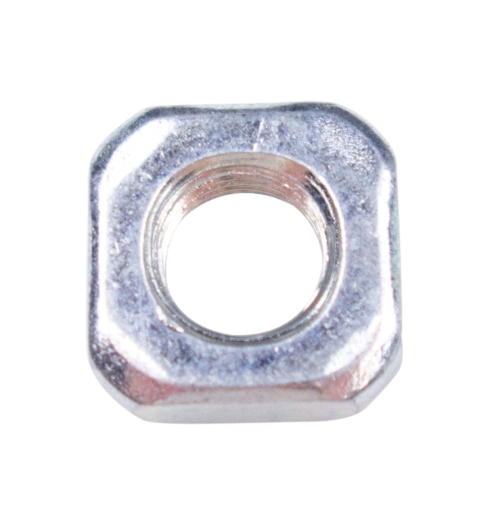 Nut in the group at GPLSHOP (5355761-01)