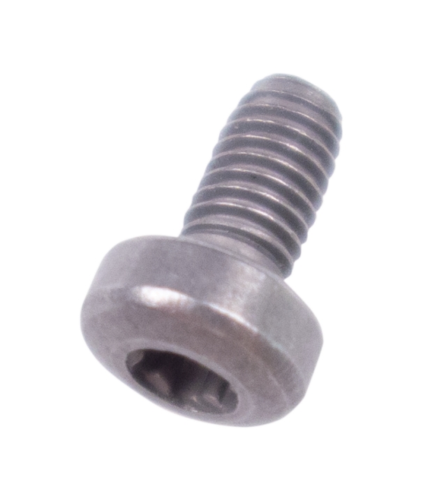Screw 30x6 in the group at GPLSHOP (5368717-01)