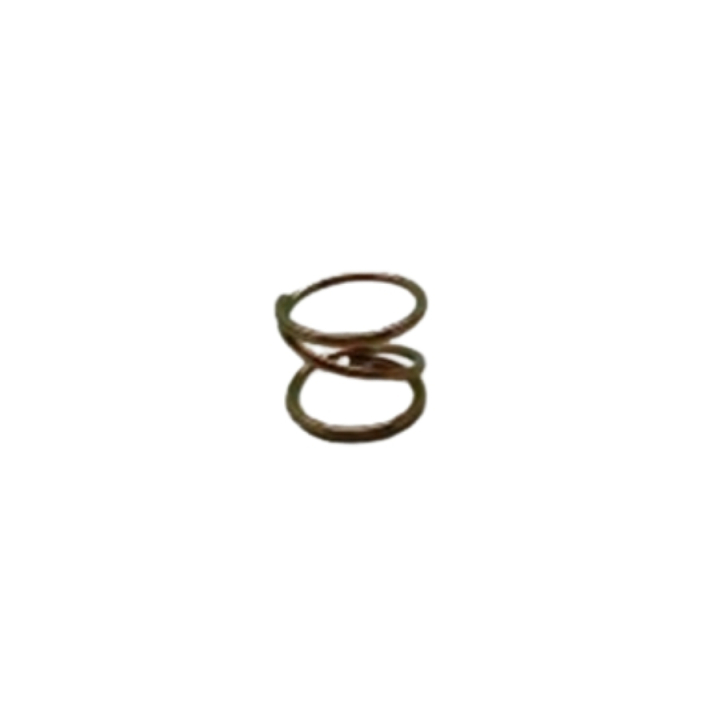 Caster spring in the group  at GPLSHOP (5391157-47)