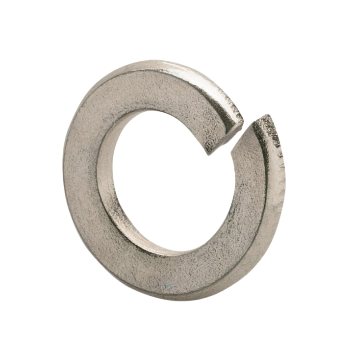 Washer 5/16 Lock- in the group  at GPLSHOP (5399901-87)
