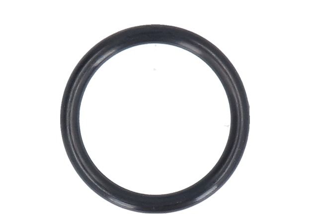 O-Ring in the group  at GPLSHOP (5440465-05)