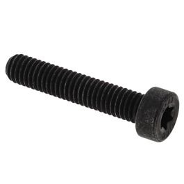 Screw in the group at GPLSHOP (5442184-07)