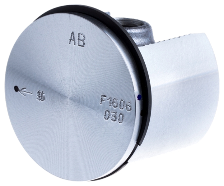 Piston assembly in the group  at GPLSHOP (5442239-02)