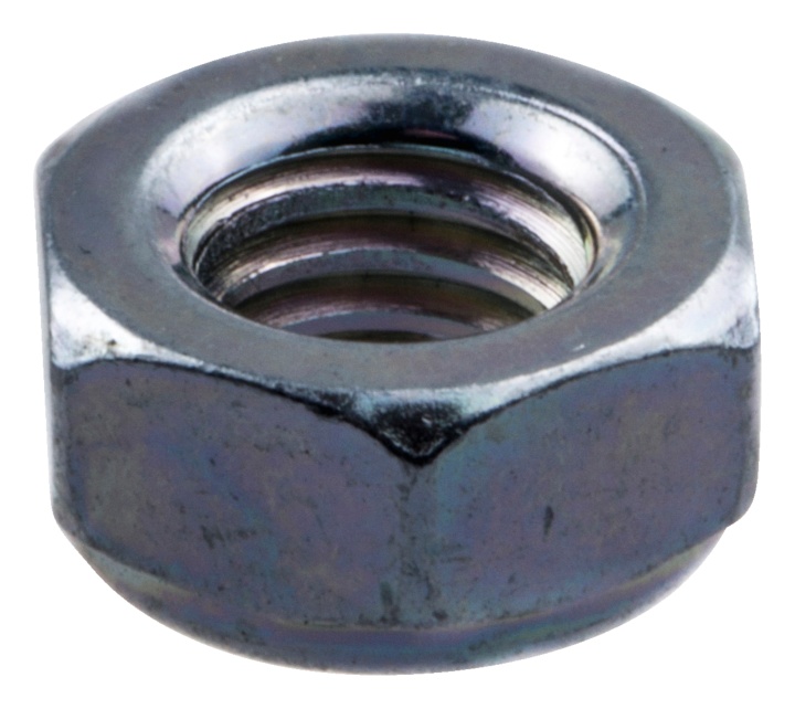 Nut in the group at GPLSHOP (5443052-01)