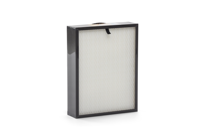 H13 essential filter in the group at GPLSHOP (5465496-01)
