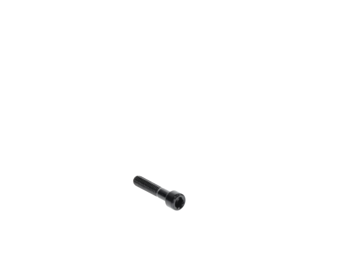 Screw m6 in the group at GPLSHOP (5476019-01)