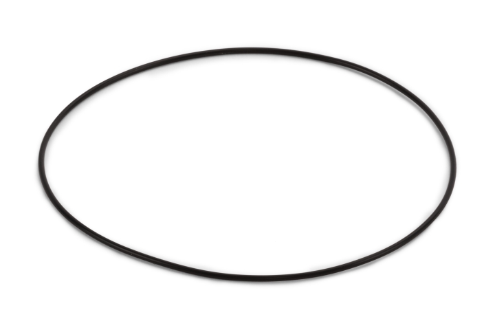 O-ring in the group at GPLSHOP (5744529-01)
