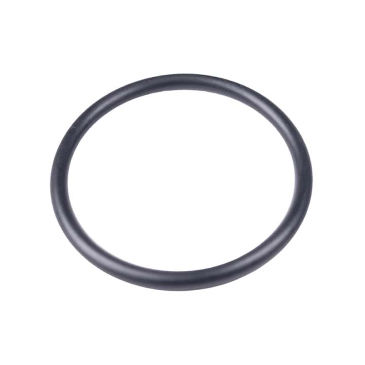 O-ring in the group  at GPLSHOP (5784711-01)
