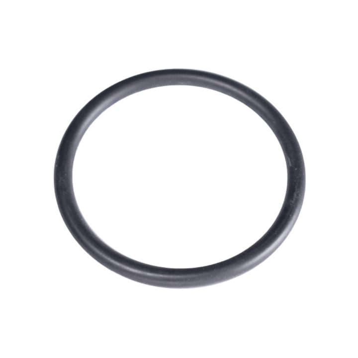 O-ring in the group  at GPLSHOP (5784724-01)