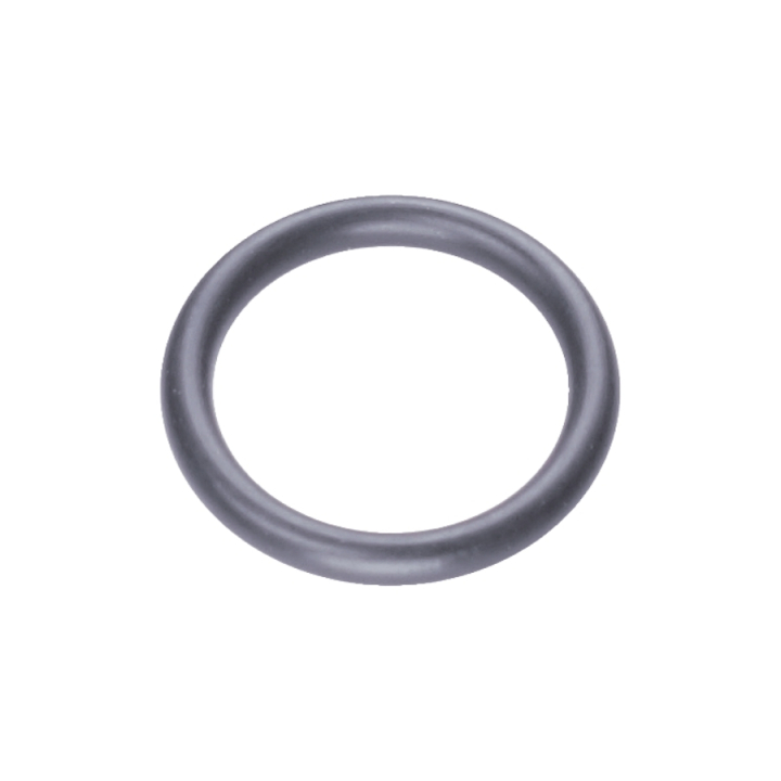 O-ring in the group  at GPLSHOP (5787605-01)