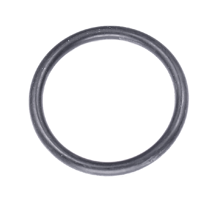 O-ring in the group at GPLSHOP (5790921-01)