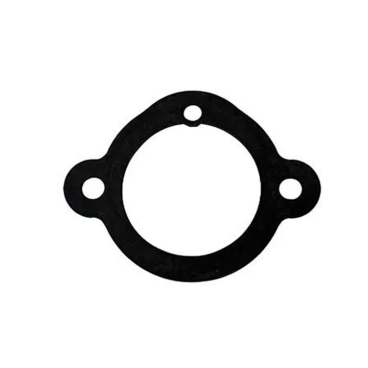 Gasket in the group  at GPLSHOP (5798511-01)