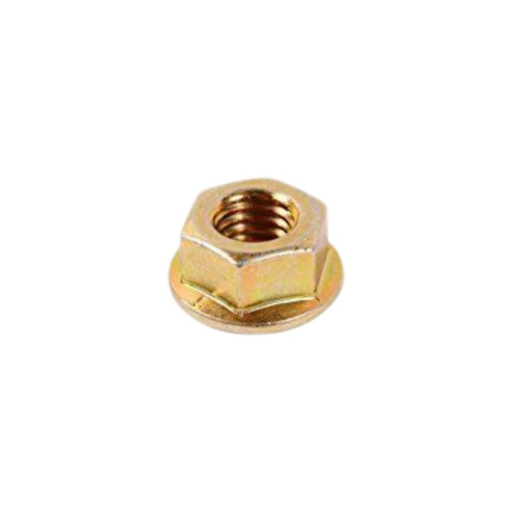 Nut in the group at GPLSHOP (5824786-01)