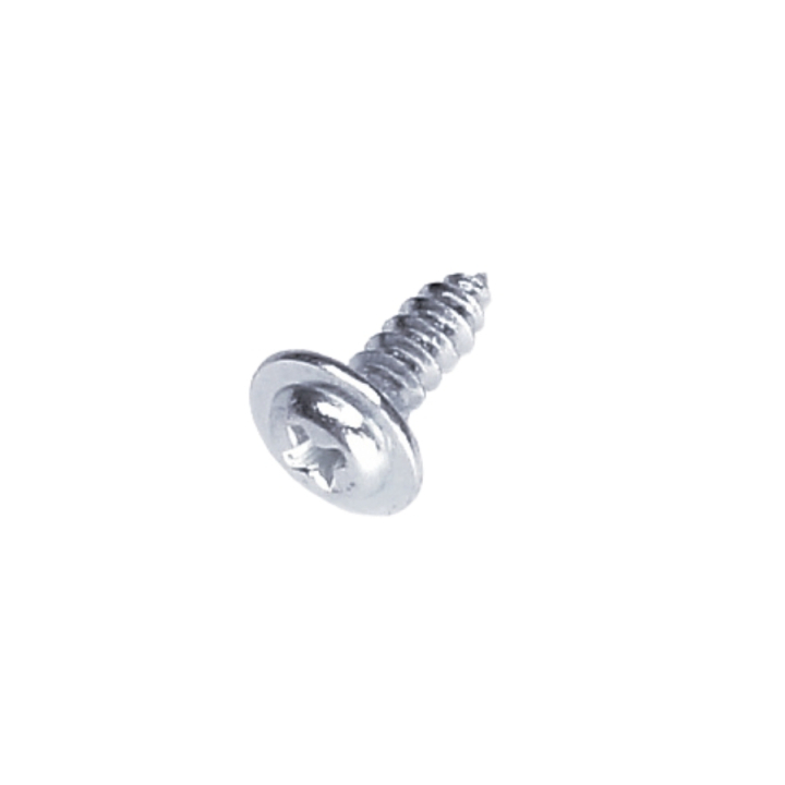Screw St4*12.5 in the group at GPLSHOP (5828557-01)